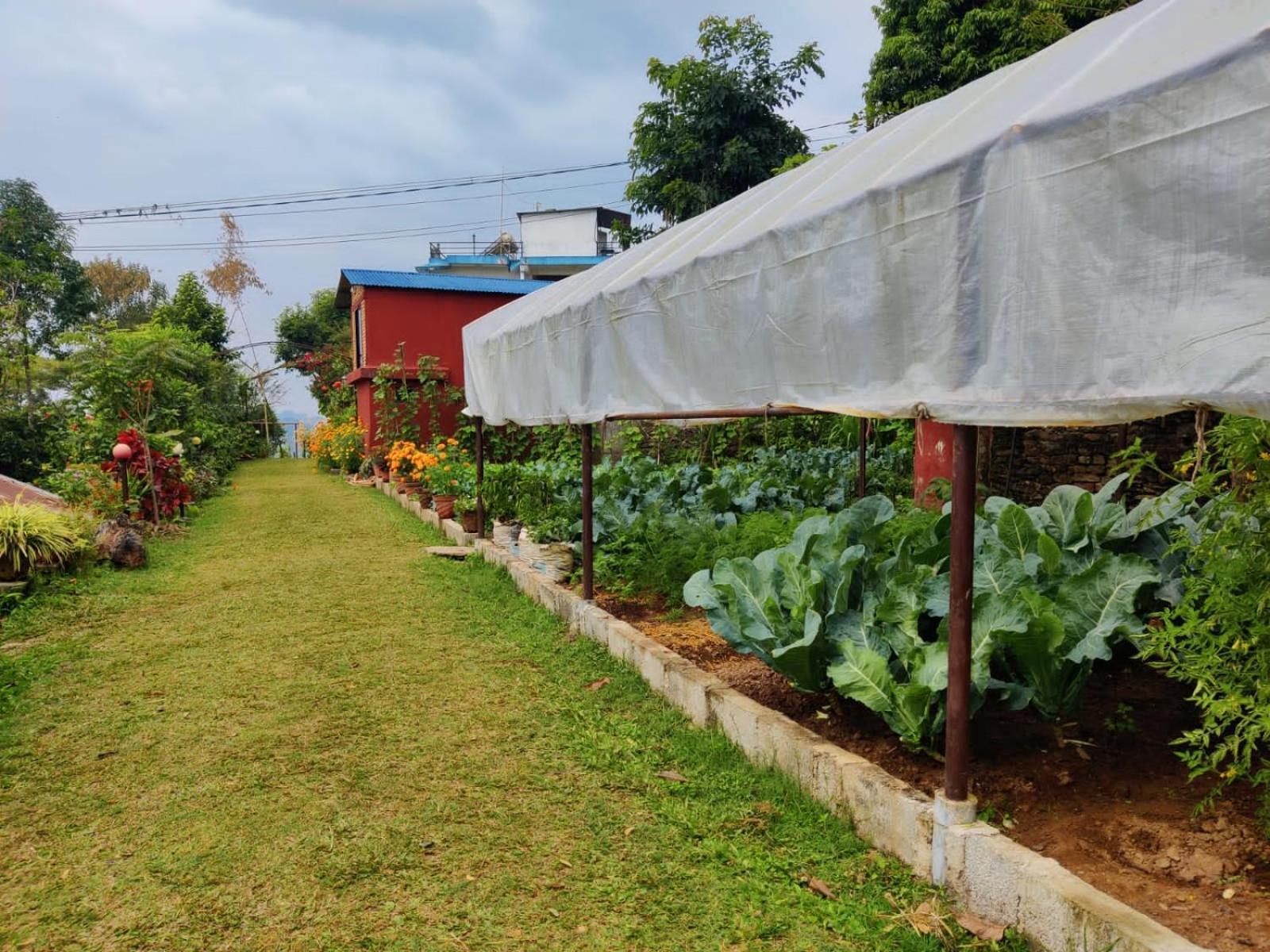 Himalaya Serene View Guest House & Farm Stay Deorāli Екстериор снимка