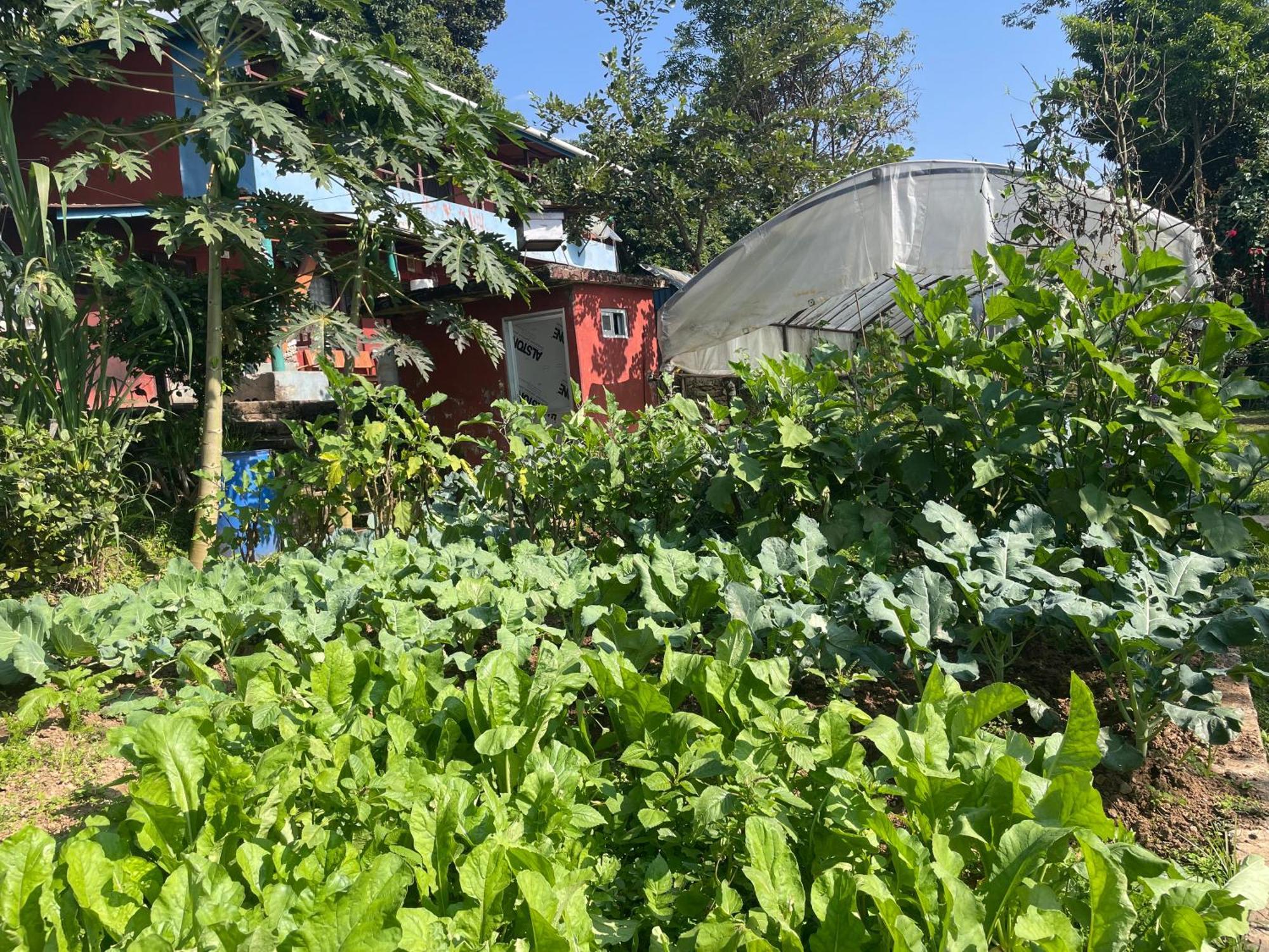 Himalaya Serene View Guest House & Farm Stay Deorāli Екстериор снимка