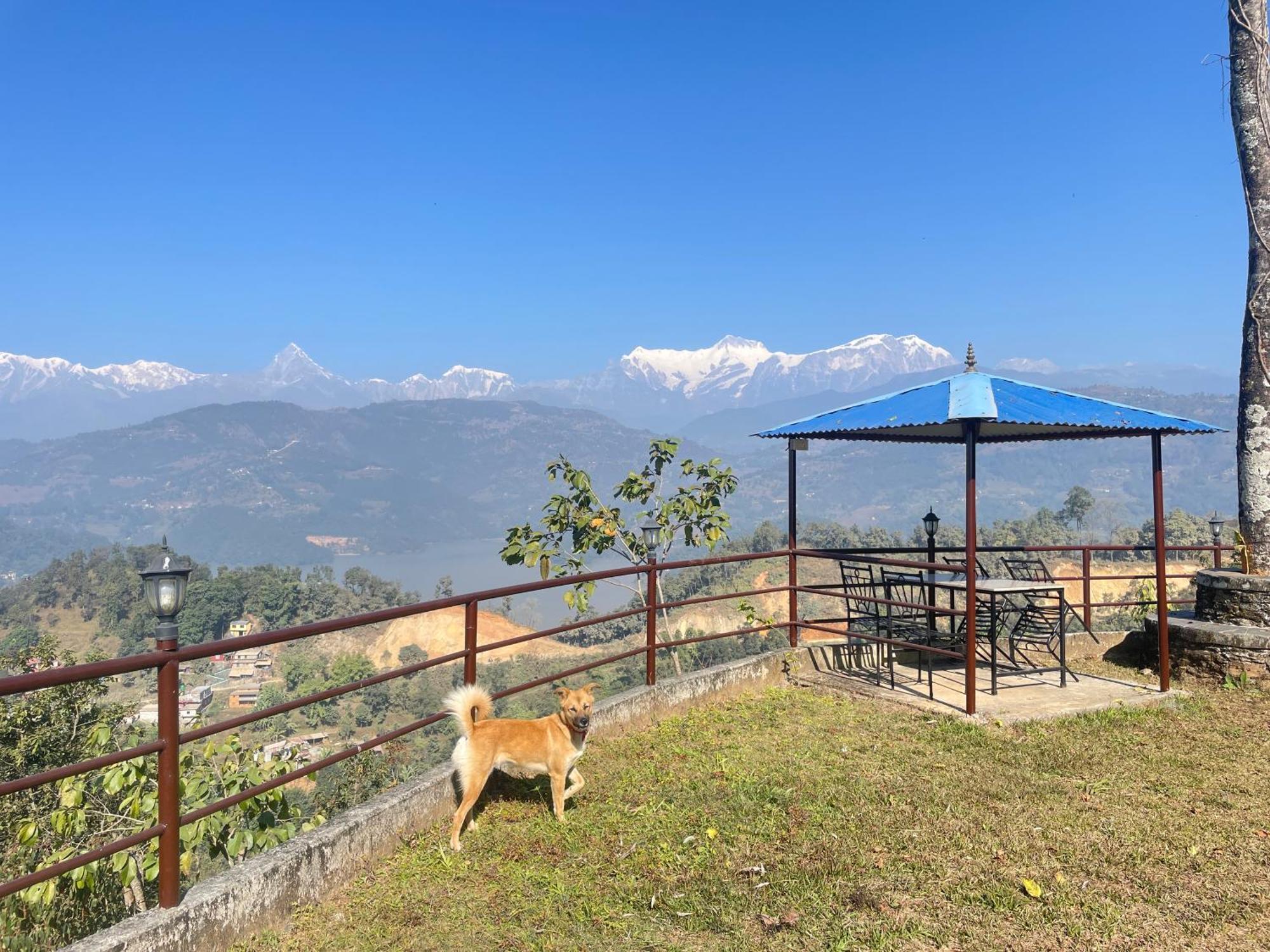 Himalaya Serene View Guest House & Farm Stay Deorāli Екстериор снимка