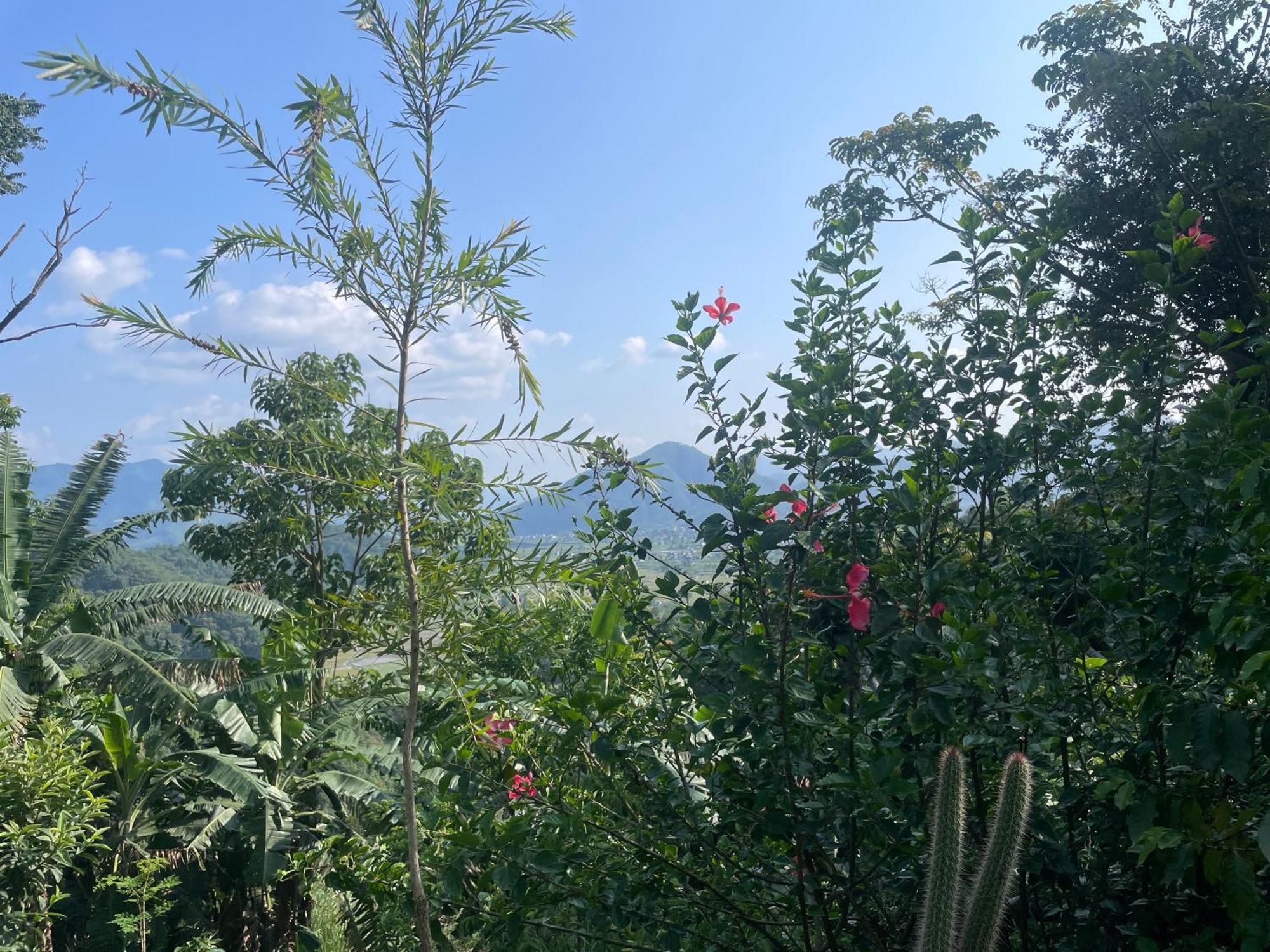 Himalaya Serene View Guest House & Farm Stay Deorāli Екстериор снимка