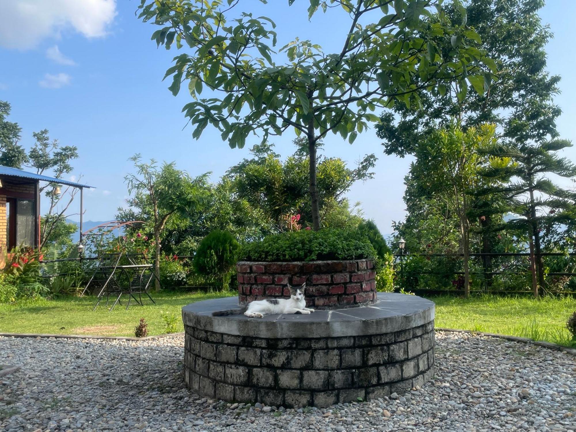 Himalaya Serene View Guest House & Farm Stay Deorāli Екстериор снимка